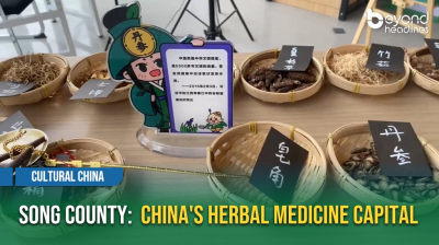 [Cultural China] Song County: China's Herbal Medicine Capital
