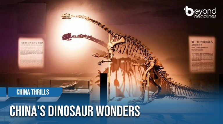[China Thrills] China's Dinosaur Wonders