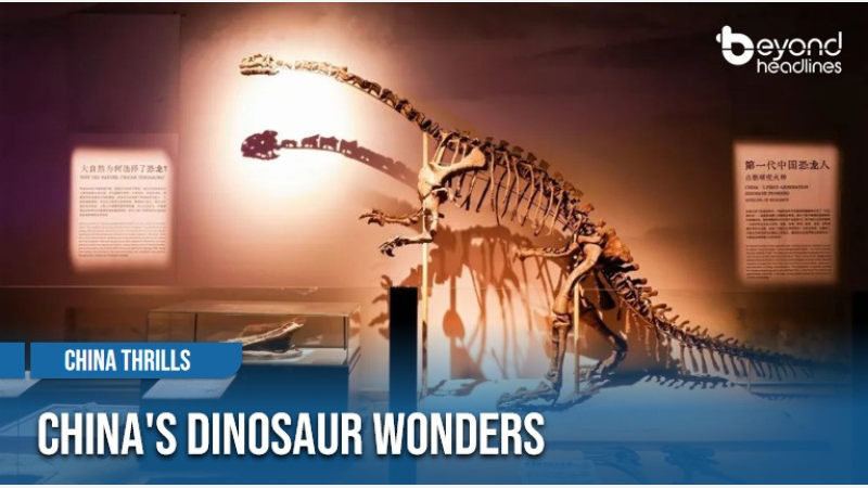 [China Thrills] China's Dinosaur Wonders