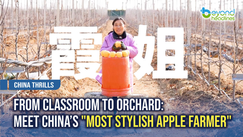 [China Thrills] From Classroom to Orchard: Meet China’s "Most Stylish Apple Farmer"