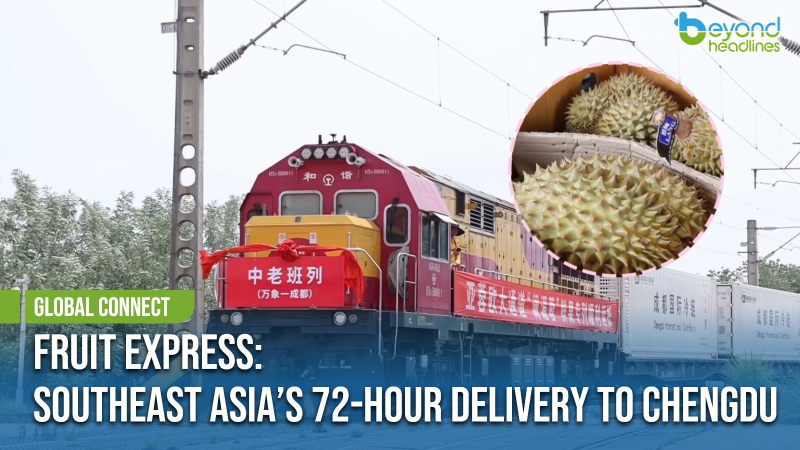 [Global Connect] Fruit Express: Southeast Asia’s 72-Hour Delivery to Chengdu