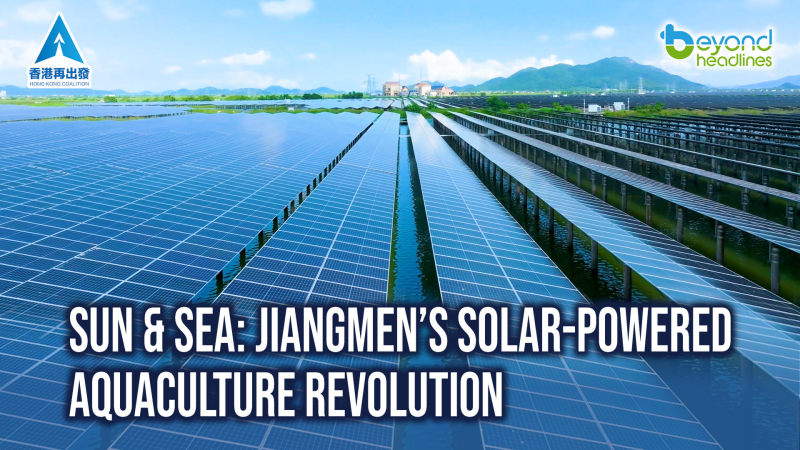 Sun & Sea: Jiangmen’s Solar-Powered Aquaculture Revolution