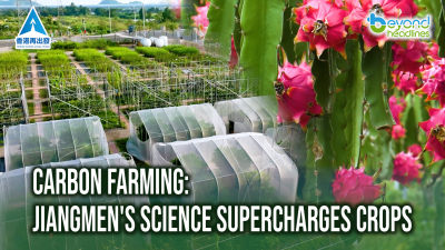Carbon Farming: Jiangmen's Science Supercharges Crops