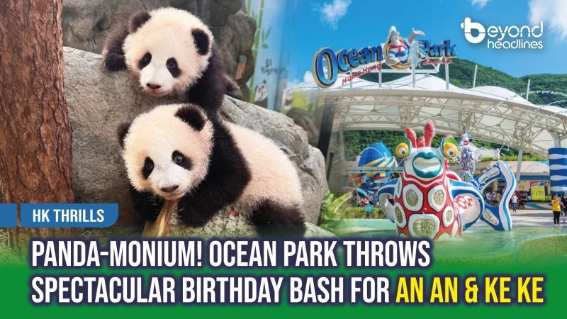 [HK Thrills] Panda-Monium! Ocean Park Throws Spectacular Birthday Bash for An An & Ke Ke