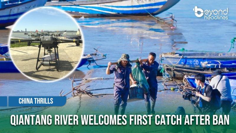 [China Thrills] Qiantang River Welcomes First Catch After Ban