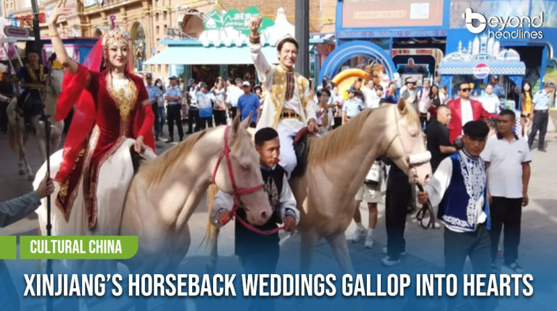 [Cultural China] Xinjiang’s Horseback Weddings Gallop Into Hearts