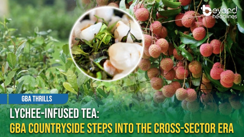 [GBA Thrills] Lychee-Infused Tea: GBA Countryside Steps into the Cross-Sector Era