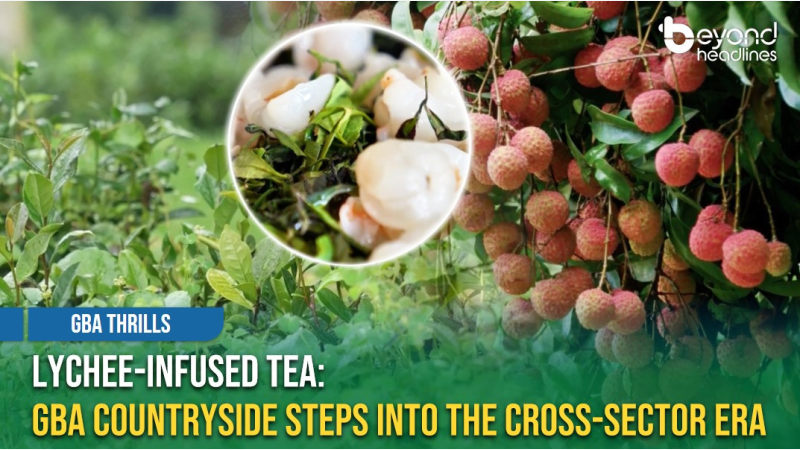 [GBA Thrills] Lychee-Infused Tea: GBA Countryside Steps into the Cross-Sector Era
