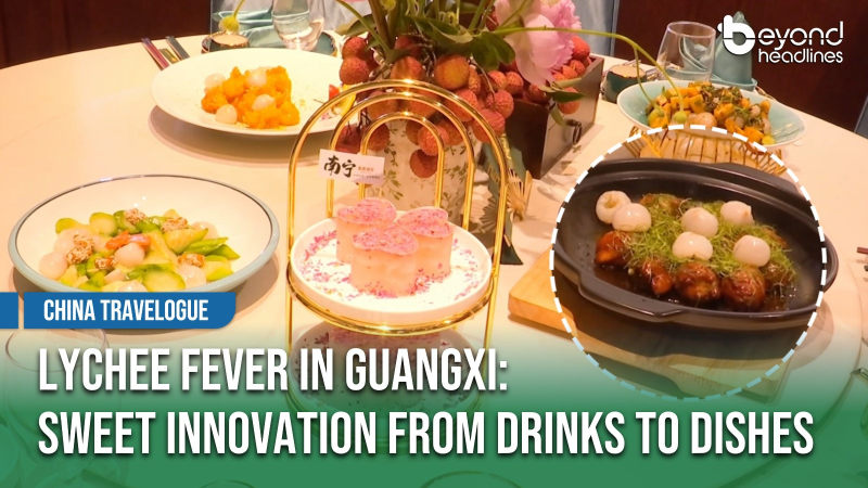 [China Travelogue] Lychee Fever in Guangxi: Sweet Innovation from Drinks to Dishes