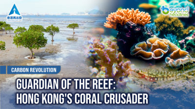 [Carbon Revolution] Guardian of the Reef: Hong Kong's Coral Crusader