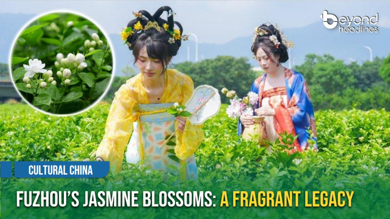 [Cultural China] Fuzhou’s Jasmine Blossoms: A Fragrant Legacy