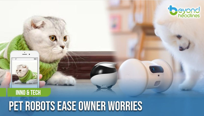 [Inno & Tech] Pet Robots Ease Owner Worries