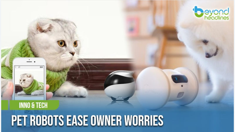 [Inno & Tech] Pet Robots Ease Owner Worries