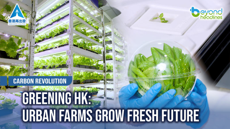 [Carbon Revolution] Greening HK: Urban Farms Grow Fresh Future