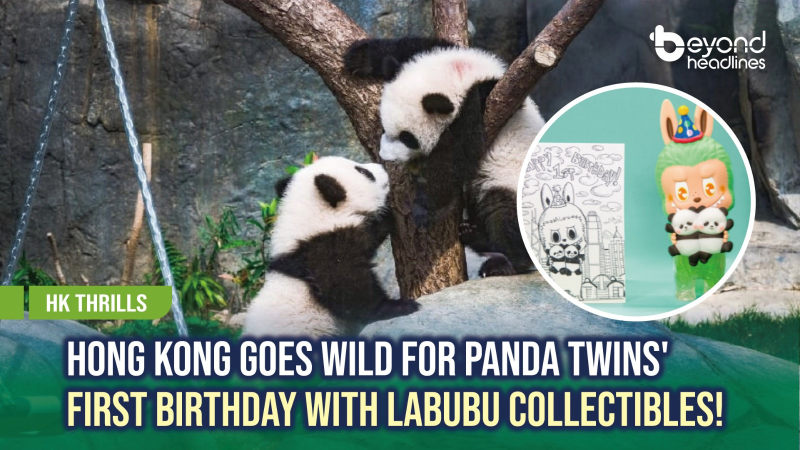 [HK Thrills] Hong Kong Goes Wild for Panda Twins' First Birthday with Labubu collectibles!
