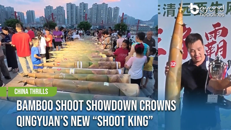 [China Thrills] Bamboo Shoot Showdown Crowns Qingyuan’s New “Shoot King”