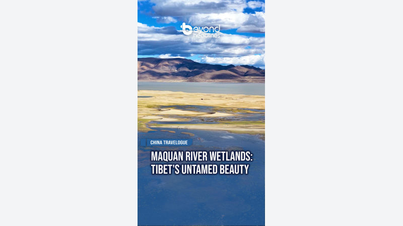 [China Travelogue] Maquan River Wetlands: Tibet's Untamed Beauty