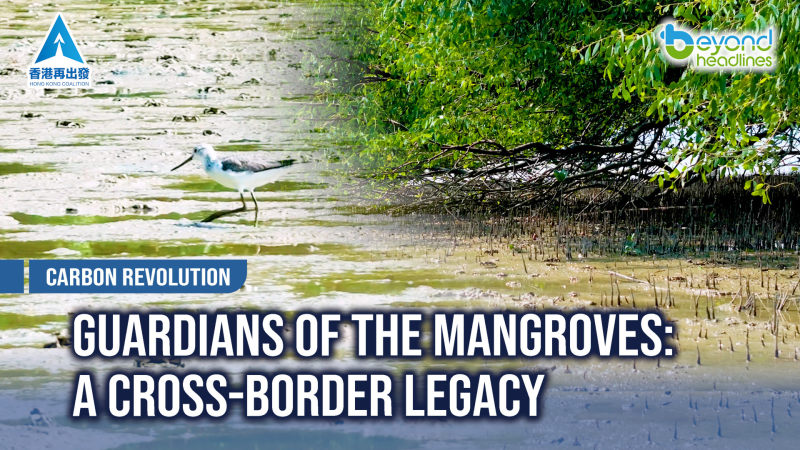 [Carbon Revolution] Guardians of the Mangroves: A Cross-Border Legacy