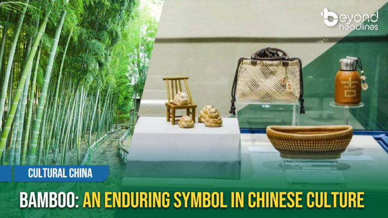 [Cultural China] Bamboo: An Enduring Symbol in Chinese Culture