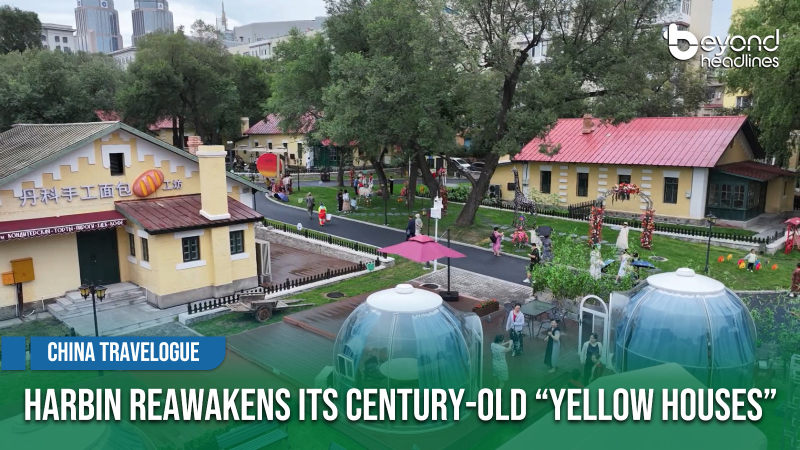 [China Travelogue] Harbin Reawakens Its Century-Old “Yellow Houses”