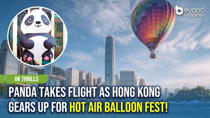 [HK Thrills] Panda Takes Flight as Hong Kong Gears Up for Hot Air Balloon Fest!
