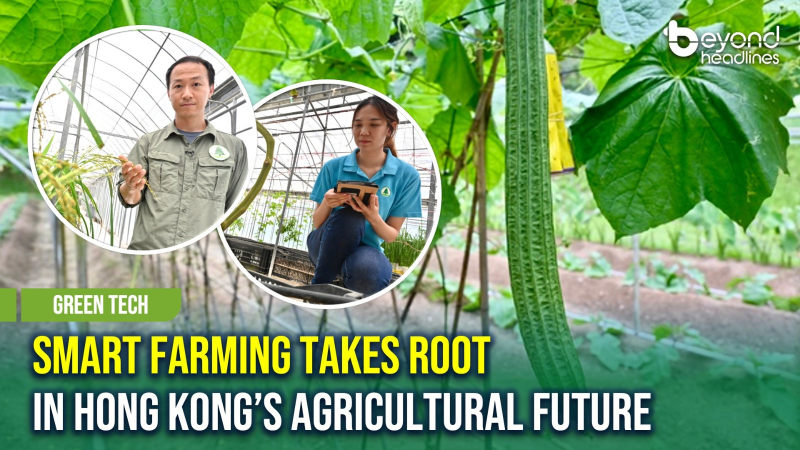 [Green Tech] Smart Farming Takes Root in Hong Kong’s Agricultural Future