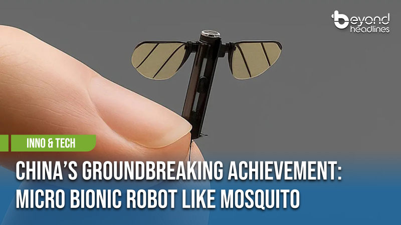 [Inno & Tech] China’s Groundbreaking Achievement: Micro Bionic Robot Like Mosquito