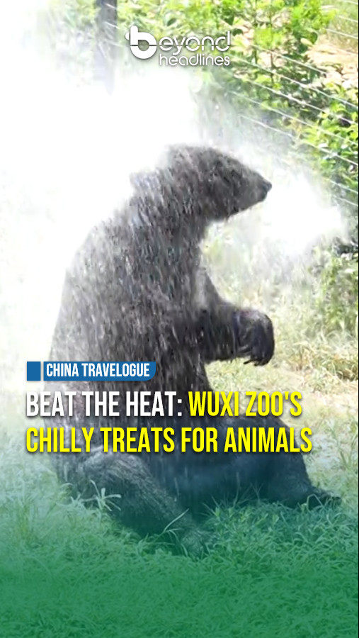 [China Travelogue] Beat the Heat: Wuxi Zoo's Chilly Treats for Animals