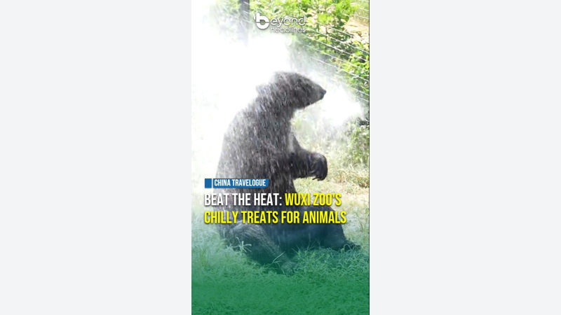 [China Travelogue] Beat the Heat: Wuxi Zoo's Chilly Treats for Animals