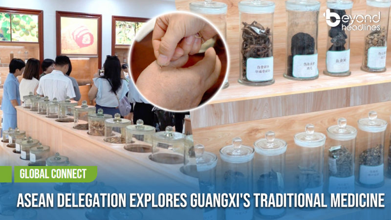 [Global Connect] ASEAN Delegation Explores Guangxi's Traditional Medicine