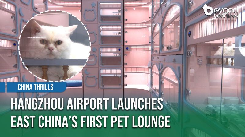 [China Thrills] Hangzhou Airport Launches East China’s First Pet Lounge