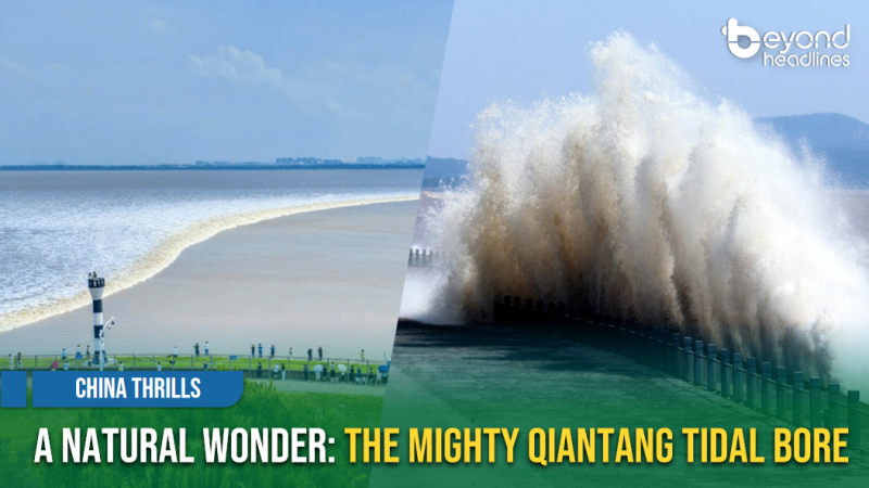 [China Thrills] A Natural Wonder: The Mighty Qiantang Tidal Bore