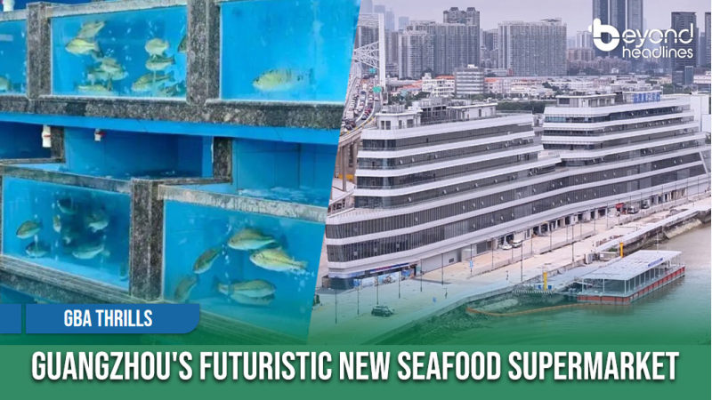 [GBA Thrills] Guangzhou's Futuristic New Seafood Supermarket