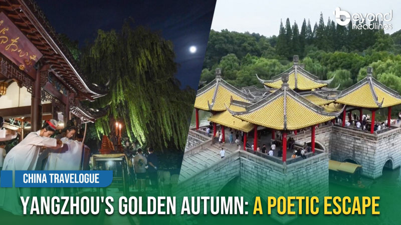 [China Travelogue] Yangzhou's Golden Autumn: A Poetic Escape