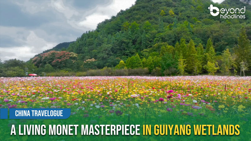 [China Travelogue] A Living Monet Masterpiece in Guiyang Wetlands