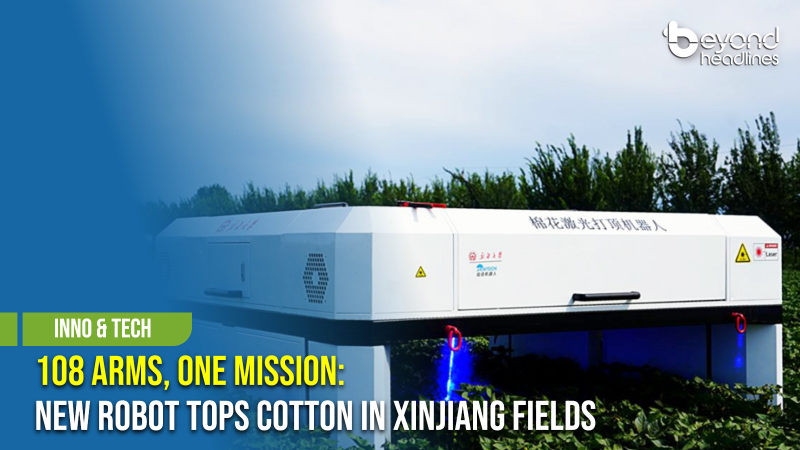 [Inno & Tech] 108 Arms, One Mission: New Robot Tops Cotton in Xinjiang Fields