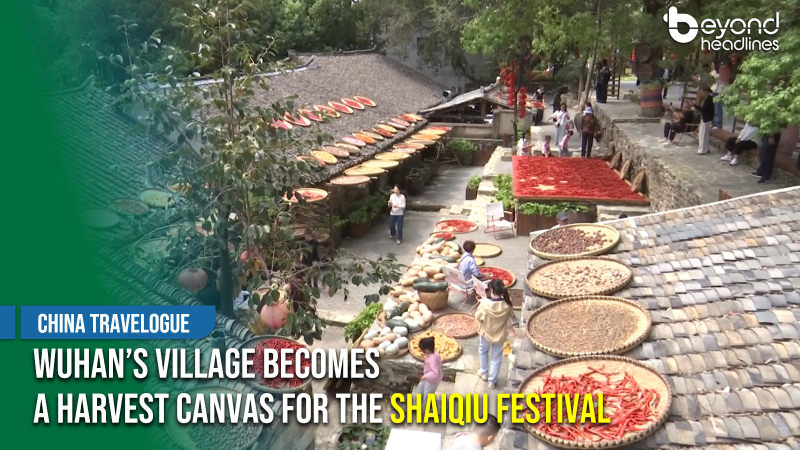 [China Travelogue] Wuhan’s Village Becomes a Harvest Canvas for the Shaiqiu Festival
