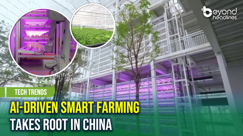 [Tech Trends] AI-Driven Smart Farming Takes Root in China
