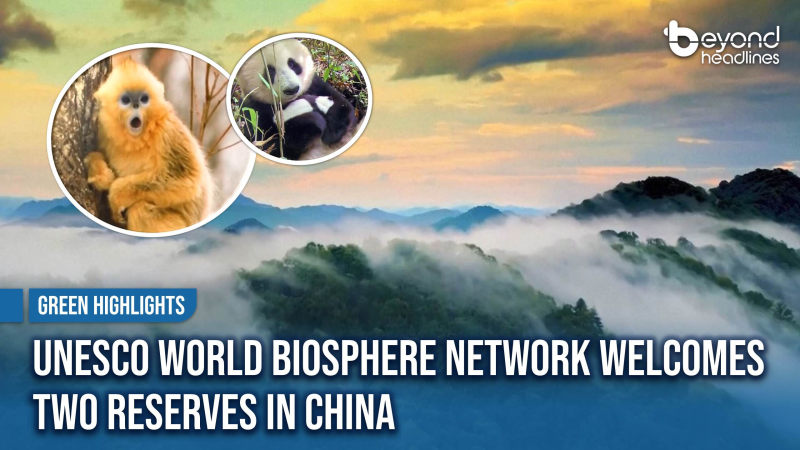 [Green Highlights] UNESCO World Biosphere Network Welcomes Two Reserves in China
