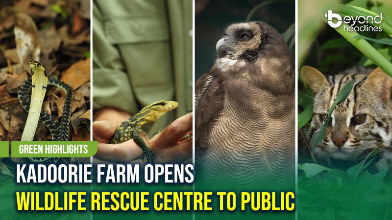 [Green Highlights] Kadoorie Farm Opens Wildlife Rescue Centre to Public