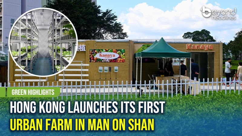 [Green Highlights] Hong Kong Launches Its First Urban Farm in Man On Shan
