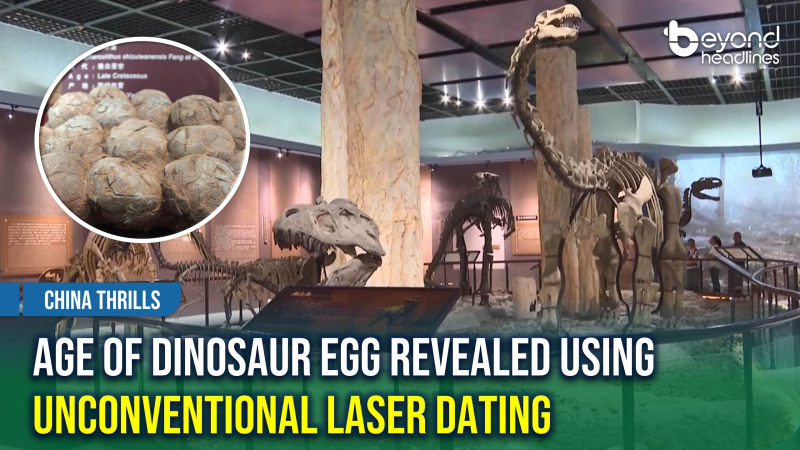[China Thrills] Age of Dinosaur Egg Revealed Using Unconventional Laser Dating