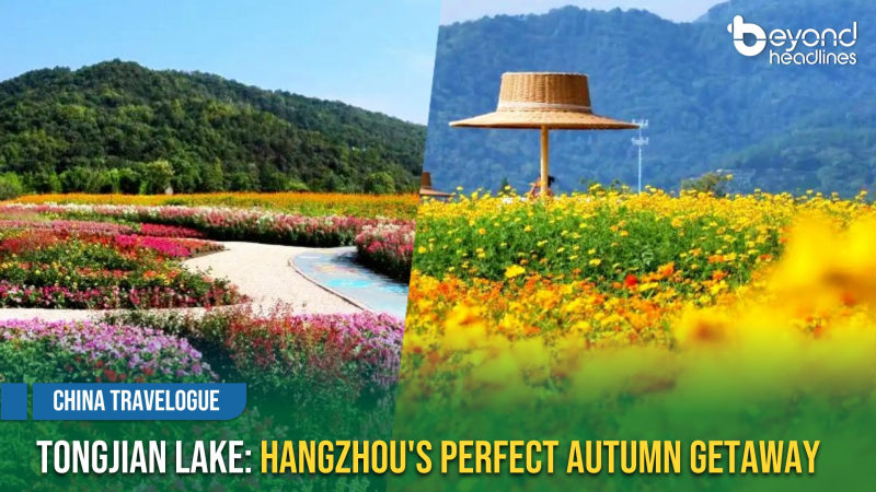 [China Travelogue] Tongjian Lake: Hangzhou's Perfect Autumn Getaway
