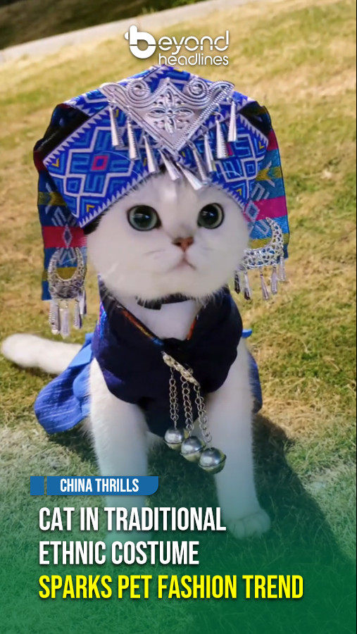 [China Thrills] Cat in Traditional Ethnic Costume Sparks Pet Fashion Trend