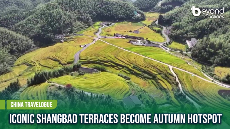 [China Travelogue] Iconic Shangbao Terraces Become Autumn Hotspot