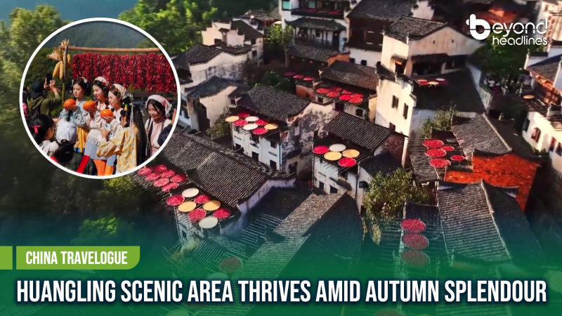 [China Travelogue] Huangling Scenic Area Thrives Amid Autumn Splendour