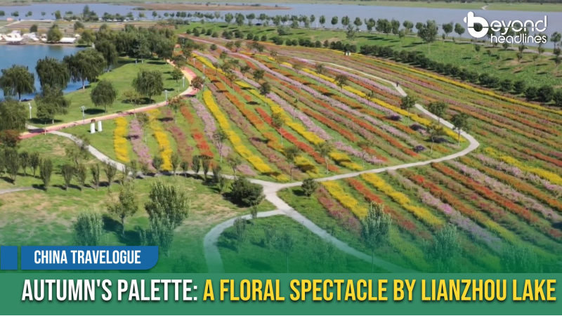 [China Travelogue] Autumn's Palette: A Floral Spectacle by Lianzhou Lake
