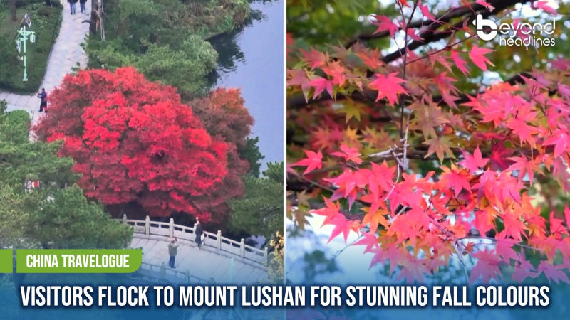 [China Travelogue] Visitors Flock to Mount Lushan for Stunning Fall Colours