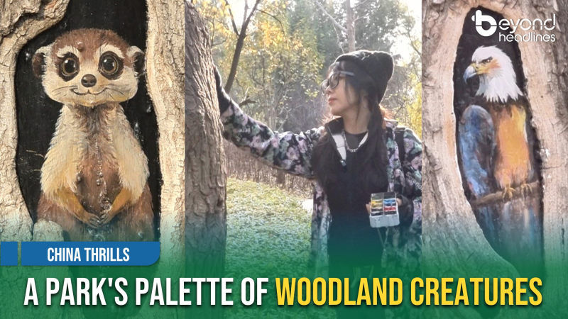 [China Thrills] A Park's Palette of Woodland Creatures