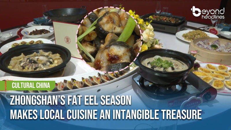 [Cultural China] Zhongshan’s Fat Eel Season Makes Local Cuisine an Intangible Treasure